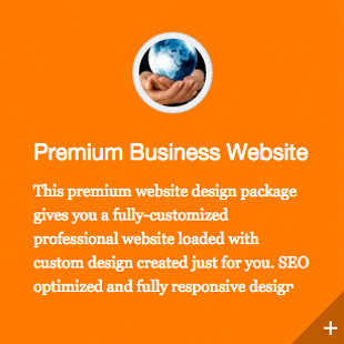 Premium Business Website