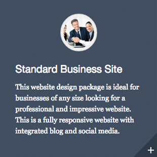 Standarad Business Website